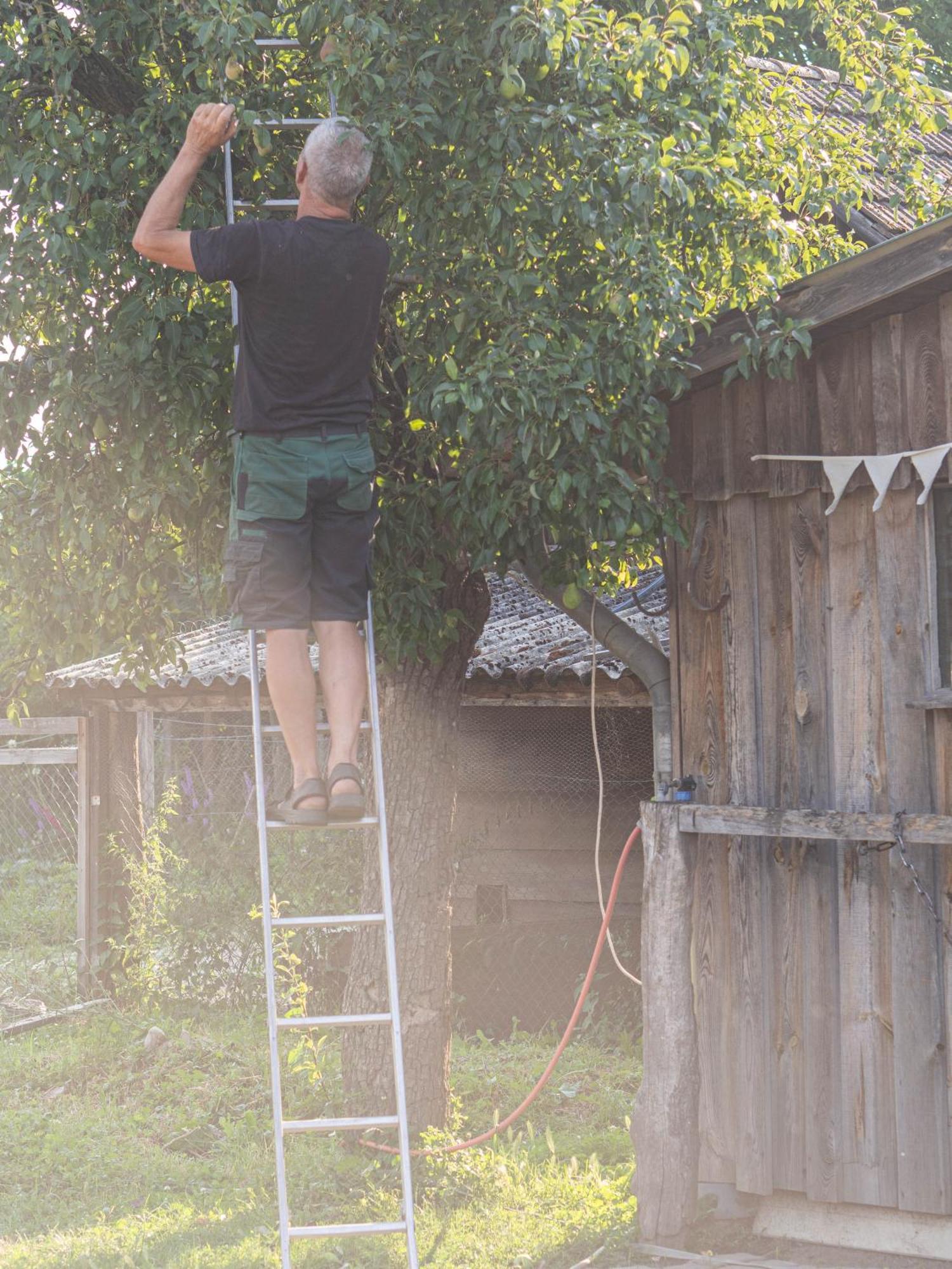 Ferienhof Bahlens-Schur Friedland  Exteriér fotografie